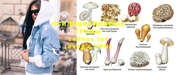 трава Белоозёрский