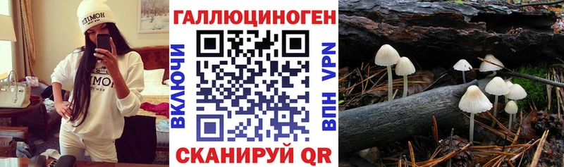 купить наркотики сайты  mega ссылки  мориарти формула  Верхний Уфалей  Галлюциногенные грибы Psilocybine cubensis 